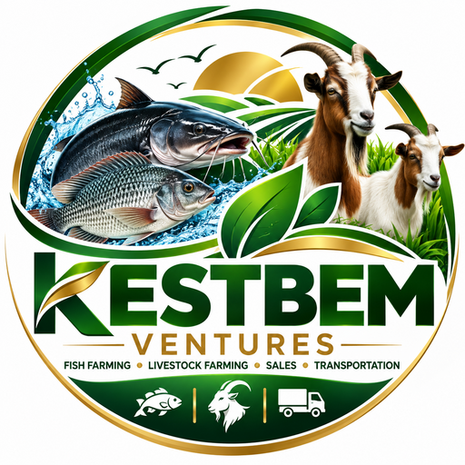 Kestbem Ventures official logo